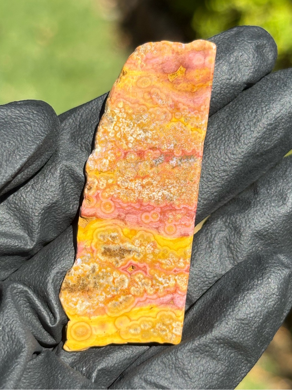 Ocean Jasper Crystal Slab - Polished Sea Jasper - Orbicular Jasper